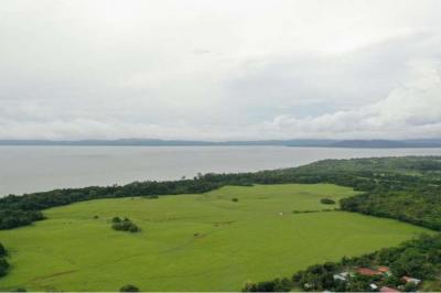 130594 - Santa catalina - lotes