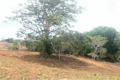 130830 - Herrera - la chorrera - lotes