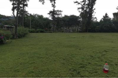 130978 - La laguna - lotes