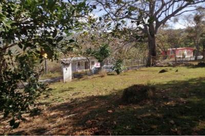 131194 - Chica - propiedades