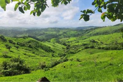 131467 - Cañita - propiedades