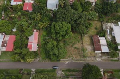 131537 - Barrio colon - lotes