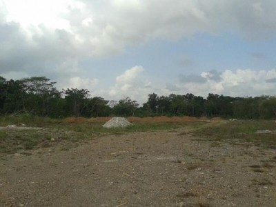 13163 - Arraiján - fincas