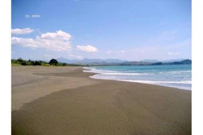 131680 - El cacao - lotes