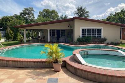 131788 - Nueva gorgona - casas