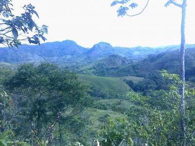 13191 - La trinidad - fincas