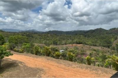 131916 - Capira - lotes