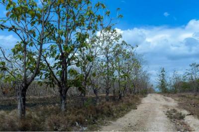 132223 - Rio hato - lots