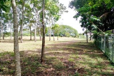 132283 - Los olivos - lotes