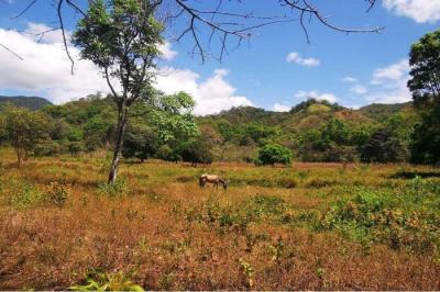 132385 - Pacora - lots