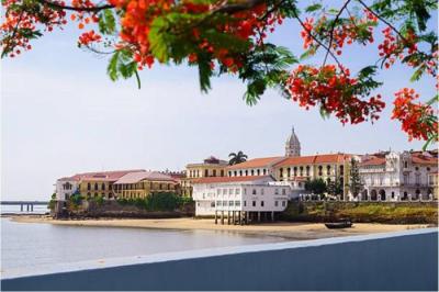 132451 - Casco antiguo - investments