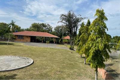 132687 - Nueva gorgona - casas