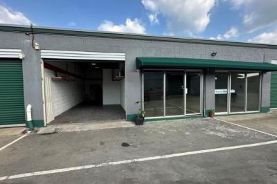 132933 - Calidonia - galeras