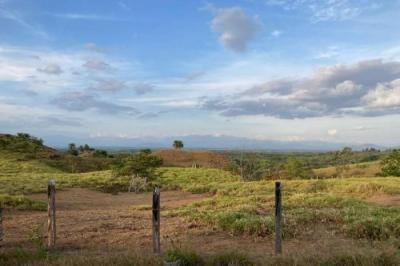 133165 - San Lorenzo - lotes