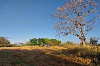 133171 - Antón - lotes