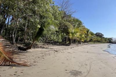 133256 - San Lorenzo - lotes