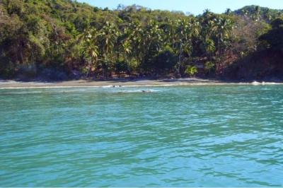 133481 - Soná - lotes