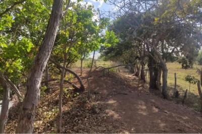 133590 - El roble - lotes