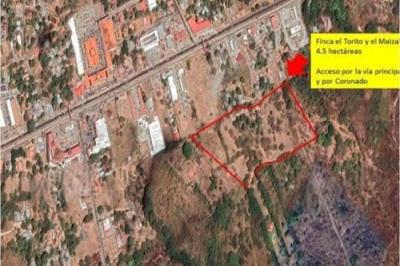 133653 - Coronado - lotes