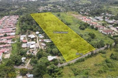 133690 - Pedregal - lots