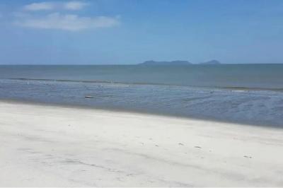 133735 - Punta chame - lots