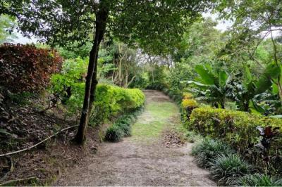 133789 - Antón - lotes