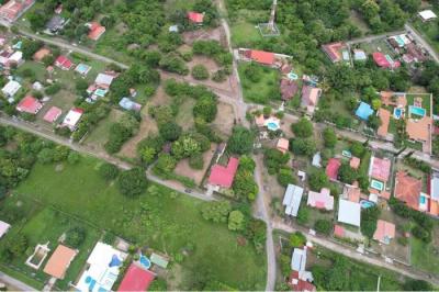 133876 - Nueva gorgona - lotes