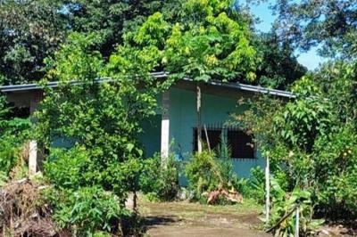 134188 - Cochea - propiedades