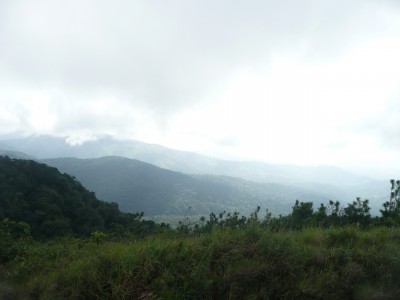 1346 - Cerro azul - fincas