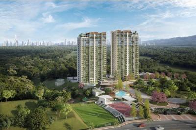 135093 - Pedregal - propiedades