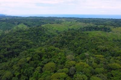 135228 - Chagres - lotes