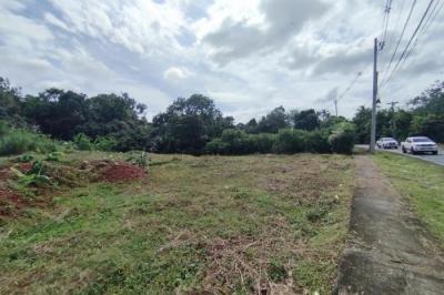 135409 - Pedregal - lots