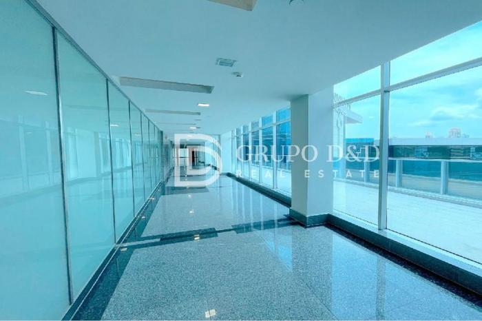 Alquiler de local comercial en vía brasil con vía israel, ciudad de panamá