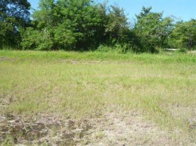 13552 - Cabuya - fincas