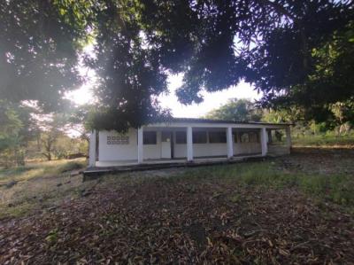 135992 - Las Tablas - casas