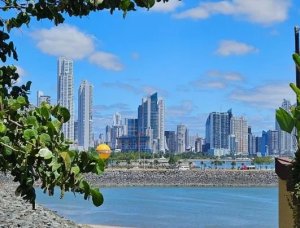 136011 - Casco Antiguo - investments