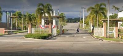 136017 - 24 de diciembre - galeras