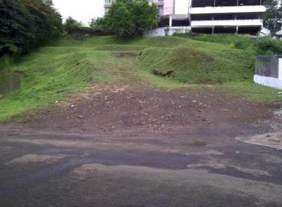 136074 - Betania - lotes