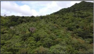 136412 - Sora - lots