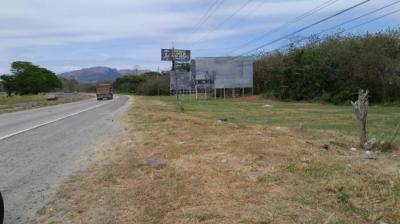 136461 - Playa gorgona - lotes