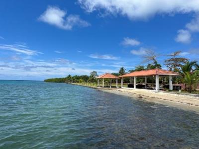 136501 - Colón - lotes