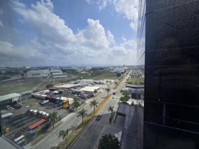 136509 - Santa maria - oficinas