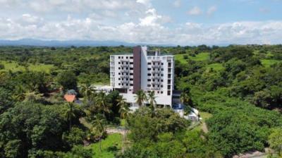 136514 - Las uvas - propiedades