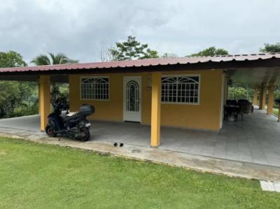 136737 - Chagres - lotes