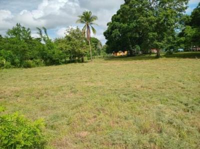 136772 - Coclé - lotes