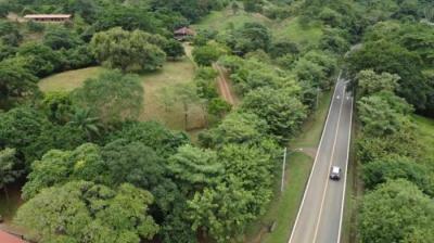 136845 - Los Santos - lotes