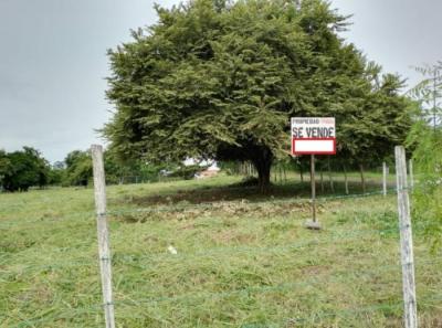 136894 - Playa gorgona - lotes