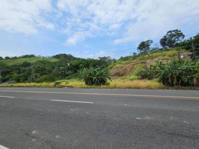 136915 - Panama pacifico - lotes