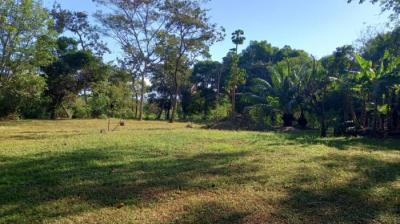 136924 - Dolega - lotes