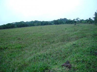 1370 - Potrerillos - farms